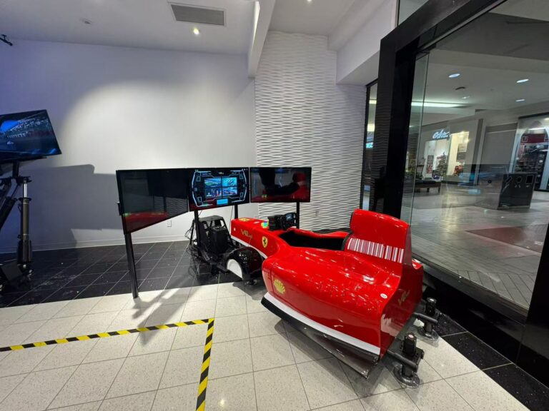 driving game machine Shanghai Richer Technology Co.,Ltd 46 racing simulator