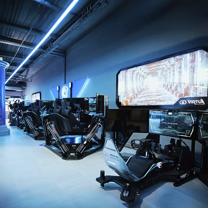 profesiional racing simulator