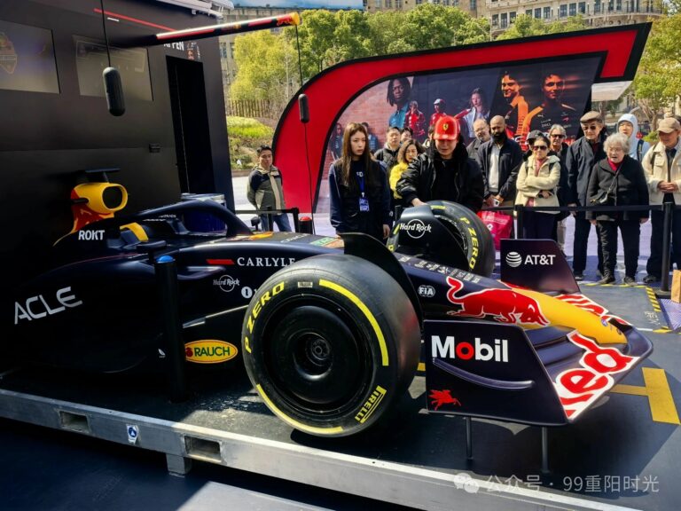 driving game machine Shanghai Richer Technology Co.,Ltd 44 F1 CAR